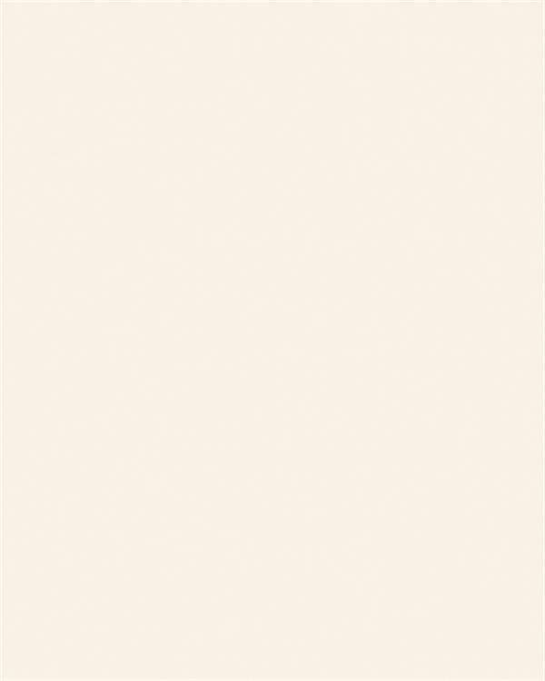 Holland+ Wit mat 33x25cm