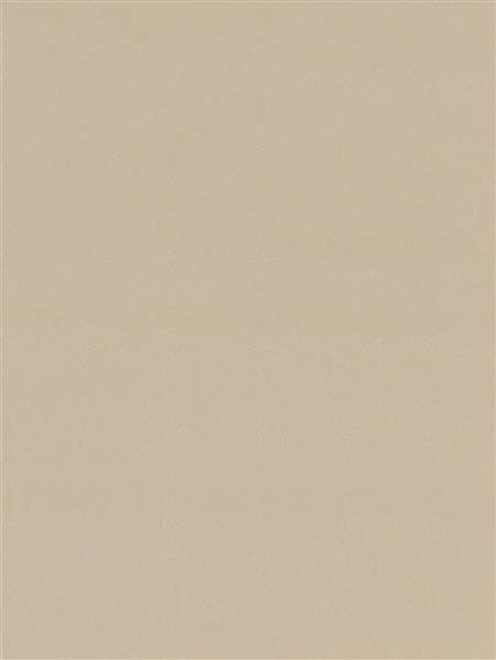 Holland2050 Beige glans 30x15cm